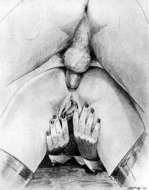 Artistic anal fuck