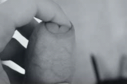 fingering