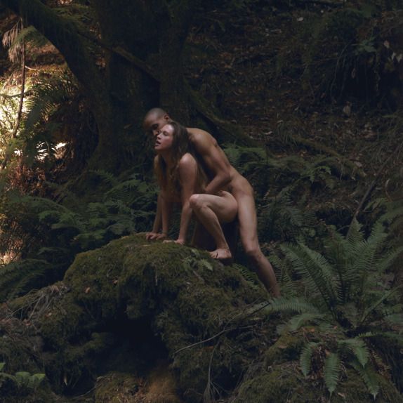 in the jungle