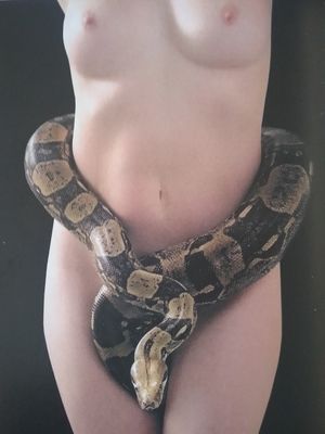 Snake