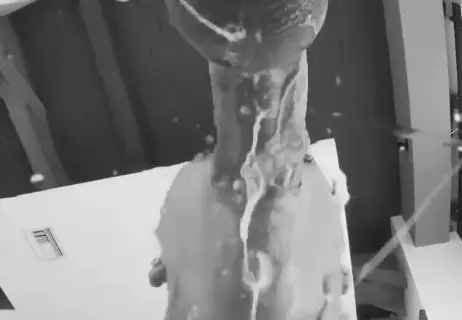 Choke on my fucking cock