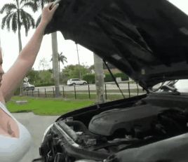 Desiree DeLuca Milf Hunter