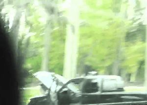 Desiree DeLuca Milf Hunter (Brief description)