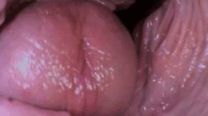 Cock cumming inside pussy view