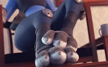 41