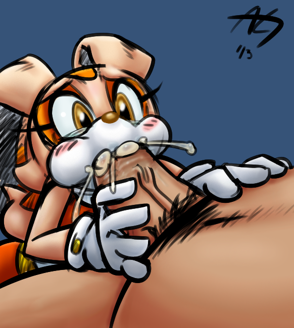 1203547   Cream The Rabbit Sonic Team Soubriquetrouge Saltcore