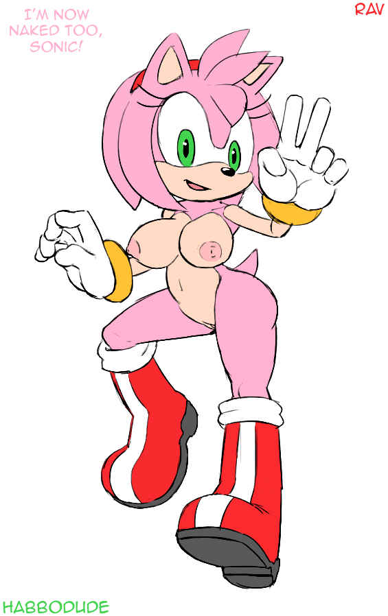 1124069   Amy Rose Habbodude Sonic Team Ravnic