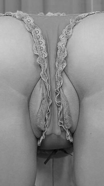 panties
