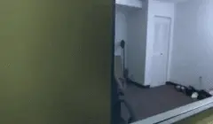wife giving a blowjob at work