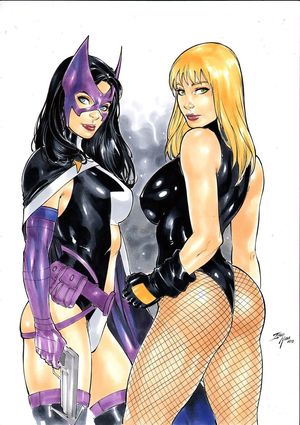 Huntress and Black Canary - Birds of Prey (DC)