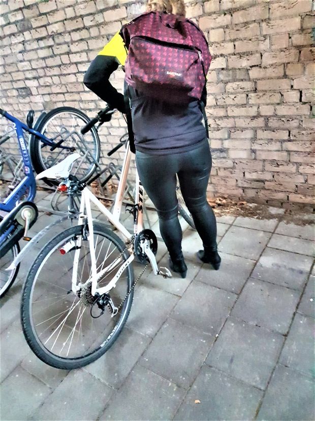 Jeans Ass
