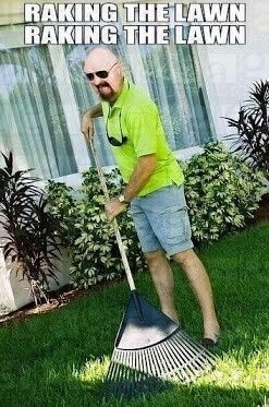Raking the LAWN! Raking the LAWN!