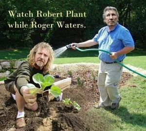 Robert PLANTs while Roger WATERs.
