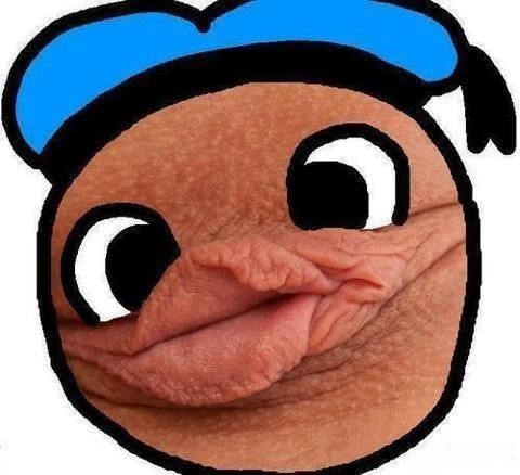 pussy