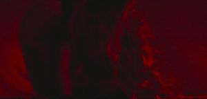 Latina at red lights