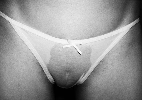 Wet pussy in transparent panties.