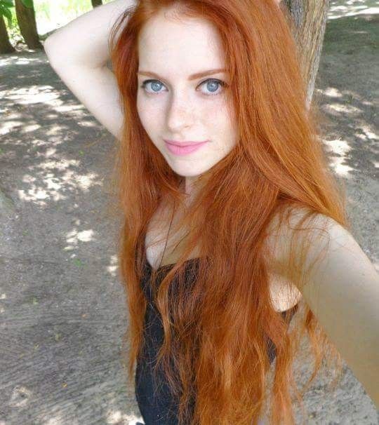 Ginger minge
