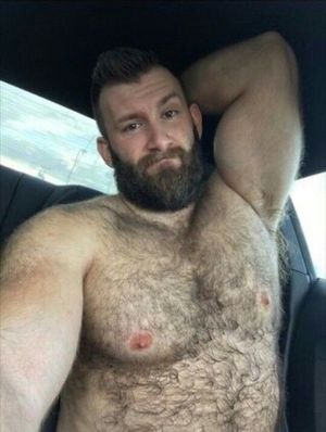 muscle bear