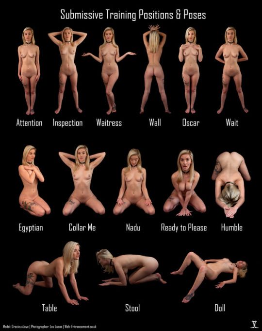 MM - Submissive Training Positions