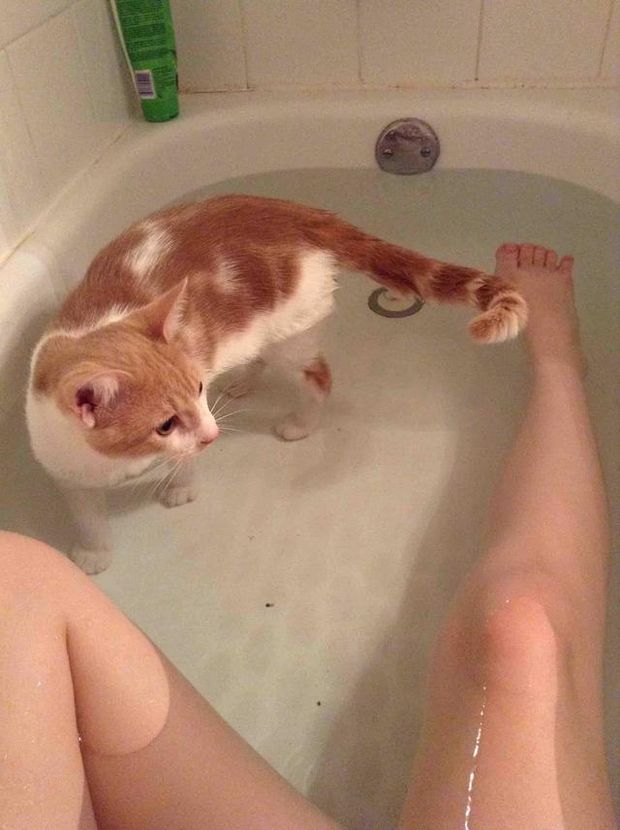 Wet Pussy