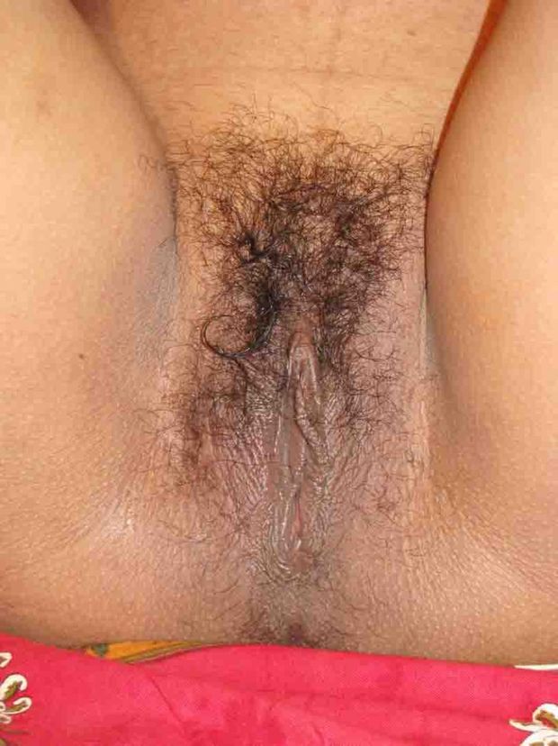 desi pussy
