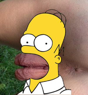 homer