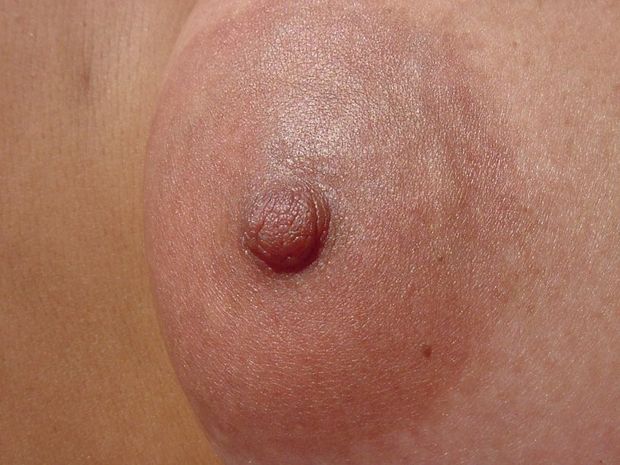 Half Korean with great tits!