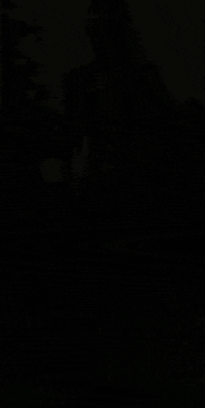 Ellagif3