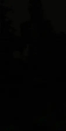 Ellagif3