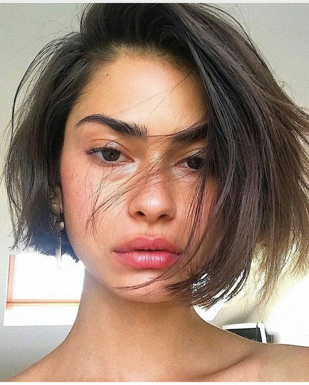 Shorthair