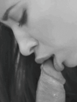 [Image: 19885029.gif?width=460]