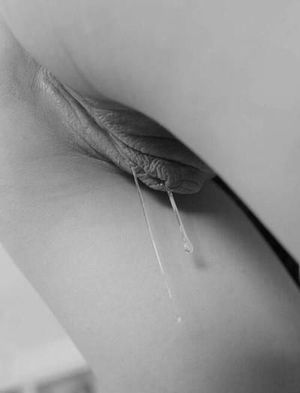 Wet pussy