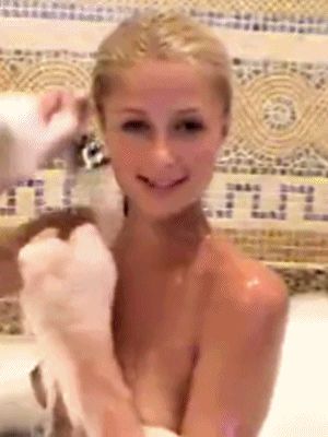 Paris Hilton Bath