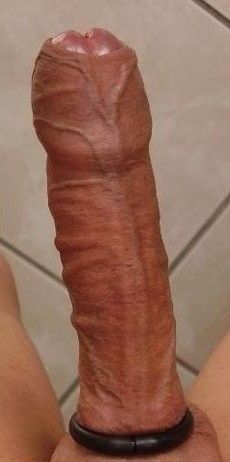 Ringed cock