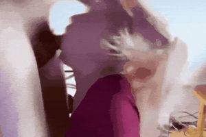 Woodpecker Face Fuck