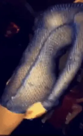 oh fuck