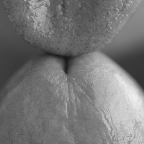Just the Tip
