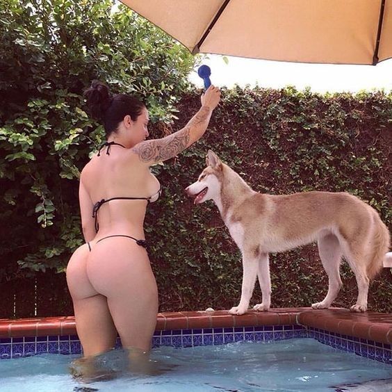 New Dog Trainer