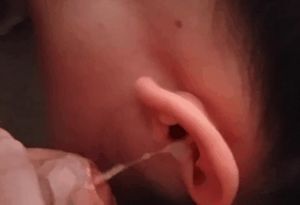 Crazy blackhair needs a cum for her ear