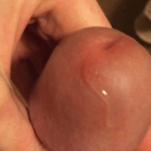 Precumming...