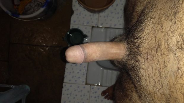 Penis