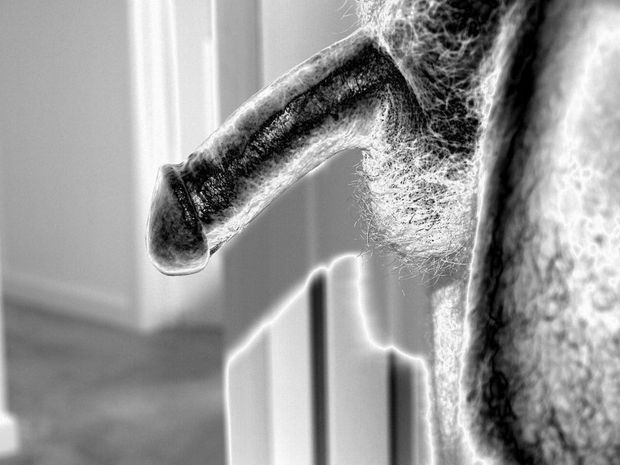 Cock Art 4