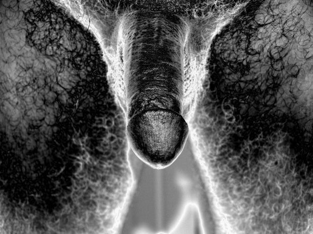 Cock Art 5