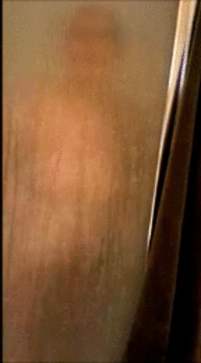 wifey displaying her ample assets