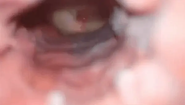 insid(H)er cumshot