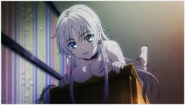 Neko on wardrobe