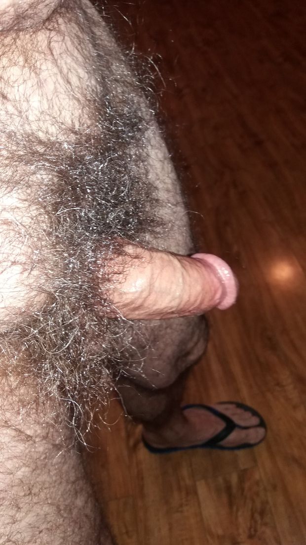 bush