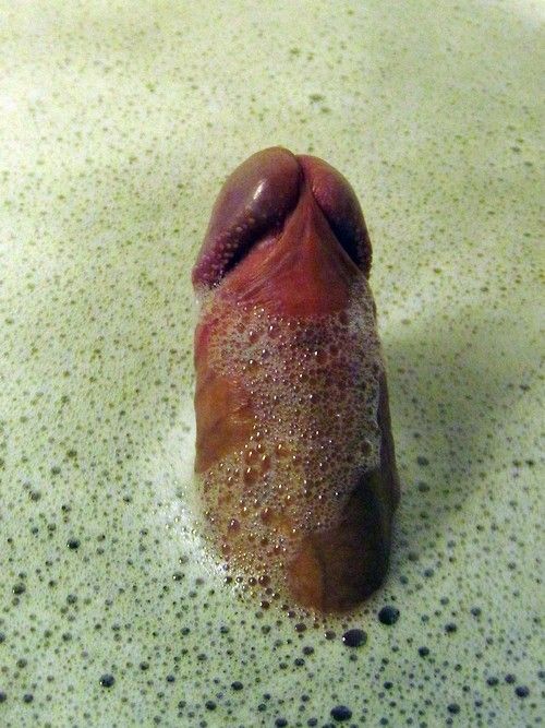 Up periscope!1