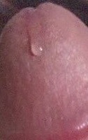 Pre-cum