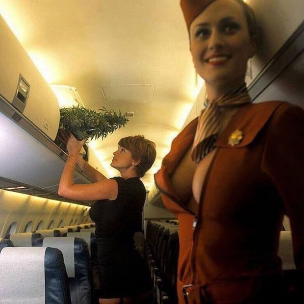 Fly away with us